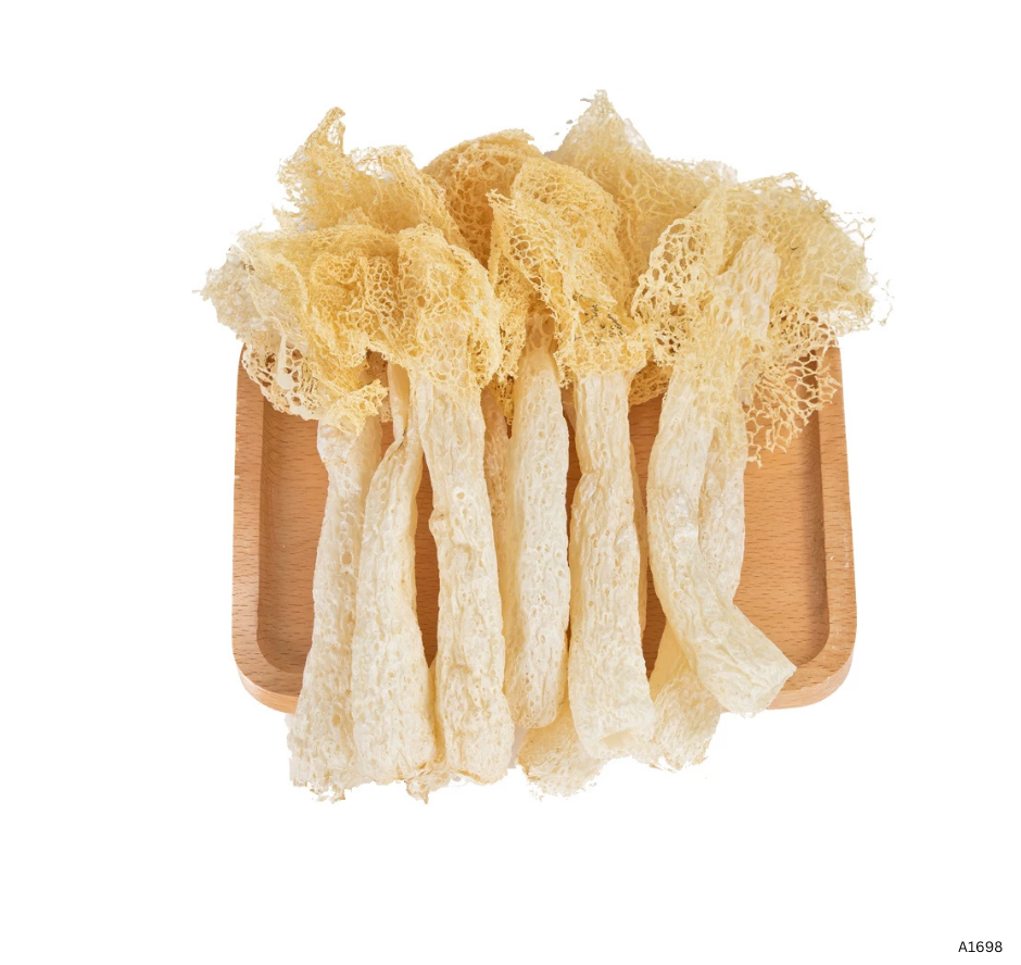 Dragon Wild Bamboo Fungus